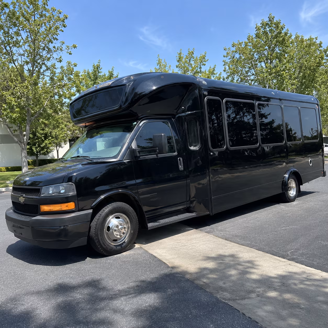 san diego 15 passenger party bus